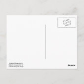 La Jolla, California Beach Sunset Postcard Briefkaart (Achterkant)