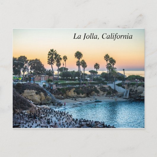 La Jolla California Coastline Briefkaart (Voorkant)
