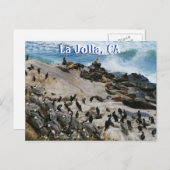 La Jolla California Post Card Briefkaart (Voorkant / Achterkant)