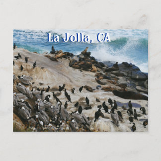 La Jolla California Post Card Briefkaart