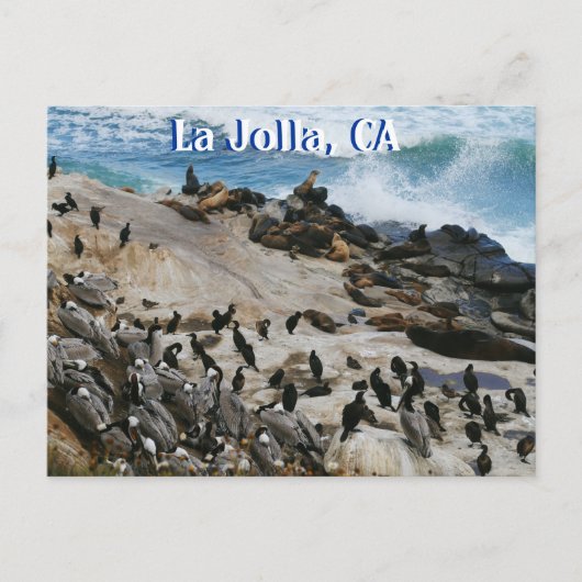 La Jolla California Post Card Briefkaart (Voorkant)