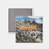La Jolla California Souvenir Magnet (Voorkant / Achterkant)
