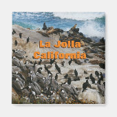 La Jolla California Souvenir Magnet (Voorkant)