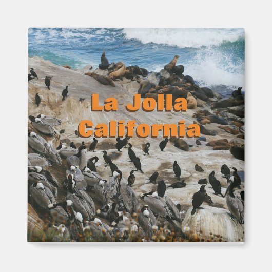 La Jolla California Souvenir Magnet (Voorkant)