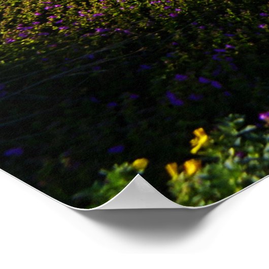 La Jolla, Californië Poster (Hoek)