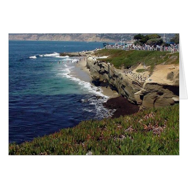 La Jolla Cove (Voorkant Horizontaal)