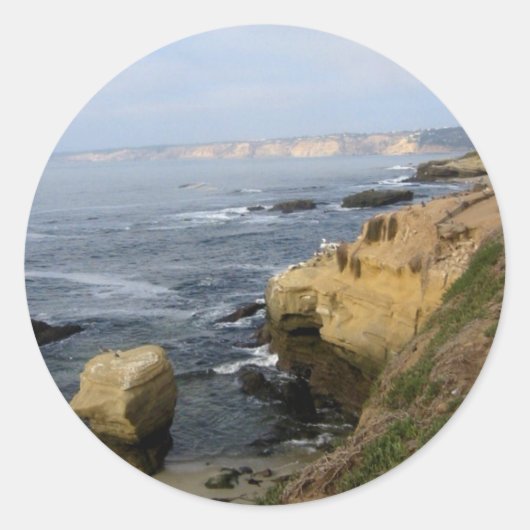 La Jolla Cove Beach Seabirds Custom Decal Stickers (Voorkant)
