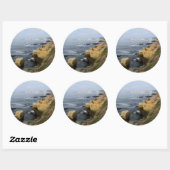 La Jolla Cove Beach Seabirds Custom Decal Stickers (Vel)