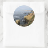 La Jolla Cove Beach Seabirds Custom Decal Stickers (Tas)