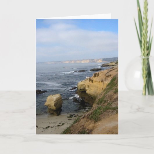 La Jolla Cove Beach Seabirds Custom Wenskaarten Kaart (Voorkant)