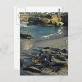 La Jolla Cove Beach Waves Sand Seals Briefkaart (Voorkant / Achterkant)