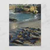 La Jolla Cove Beach Waves Sand Seals Briefkaart (Voorkant)