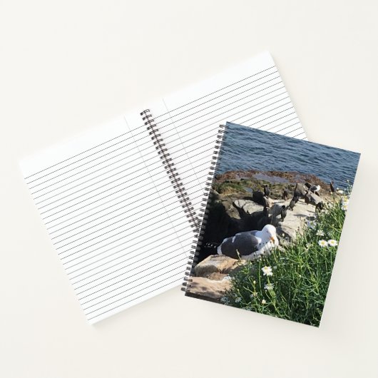 La Jolla Cove, Californië Notitieboek (Binnen)