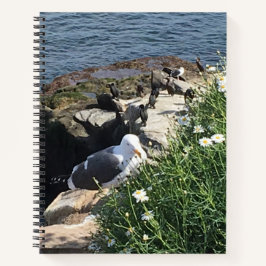 La Jolla Cove, Californië Notitieboek