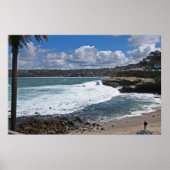 La Jolla Cove Poster (Voorkant)