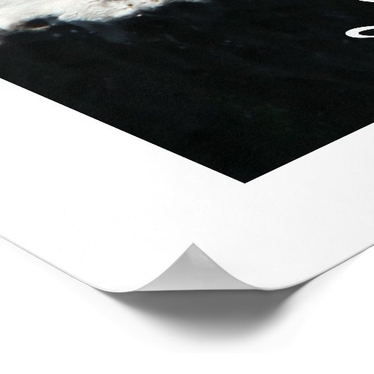 La Jolla Cove Zee Lions Poster (Hoek)