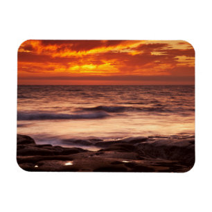 La Jolla Getijdenpoelen Magneet