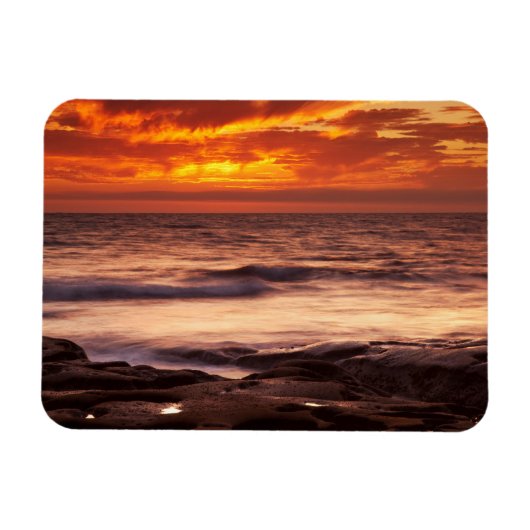 La Jolla Getijdenpoelen Magneet (Horizontaal)