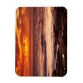La Jolla Getijdenpoelen Magneet (Verticaal)