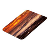 La Jolla Getijdenpoelen Magneet (Linkerzijde)