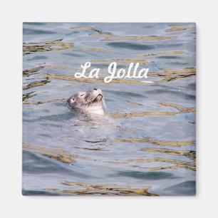 La Jolla Seal Magneet