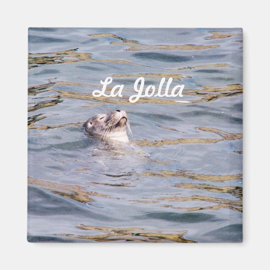 La Jolla Seal Magneet (Voorkant)