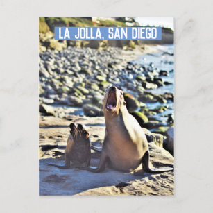 La Jolla Seals Feestdagenkaart