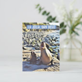 La Jolla Seals Feestdagenkaart (Staand voorkant)