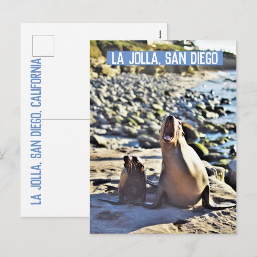 La Jolla Seals Feestdagenkaart (Voorkant / Achterkant)