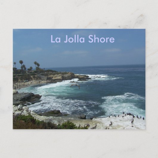 La Jolla Shore Briefkaart (Voorkant)