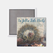 La Jolla Tide Pool Anemone Magneet (Voorkant / Achterkant)