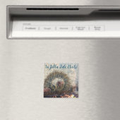 La Jolla Tide Pool Anemone Magneet (Insitu (Vaatwasser))