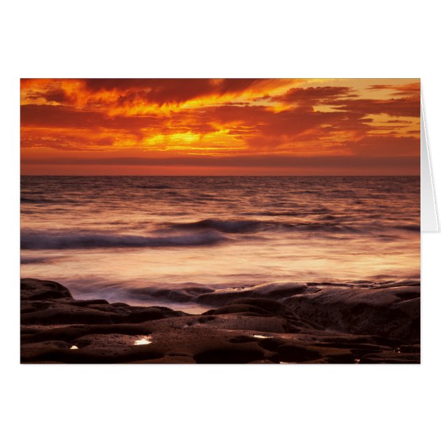 La Jolla Tide Pools (Voorkant Horizontaal)