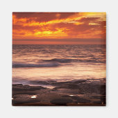 La Jolla Tide Pools Magneet (Voorkant)