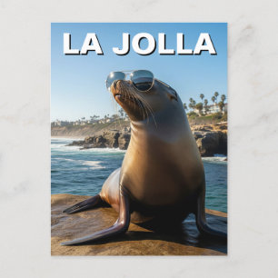 La Jolla Zee Lion Californië Reizen Briefkaart