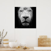 La lion blanc - De witte leeuw Poster (Keuken)