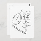 La Mandoline, l'oeillet et le bambou, Apollinaire Briefkaart (Voorkant / Achterkant)