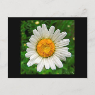 La marguerite briefkaart