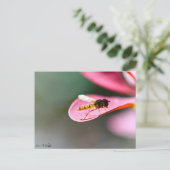 La mouche briefkaart (Staand voorkant)