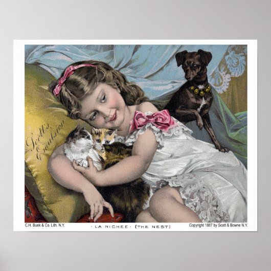 La Nichee (Nest) Poster (Voorkant)