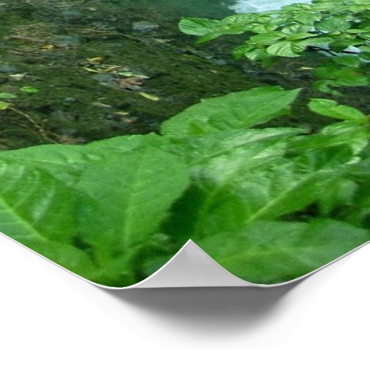 La Paz Waterfall, Costa Rica Poster (Hoek)