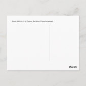 La Pedrera Chimney Briefkaart (Achterkant)