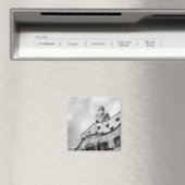 La Pedrera Magnet (Insitu (Vaatwasser))