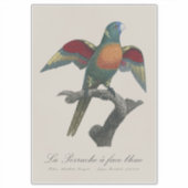 La Perruche a face bleue Sticker (Voorkant)