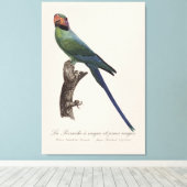 La Perruche a unque et joues rouges Canvas Afdruk (Insitu (Houten vloer))