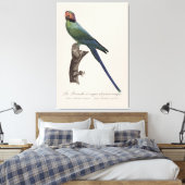 La Perruche a unque et joues rouges Canvas Afdruk (Insitu (Slaapkamer))