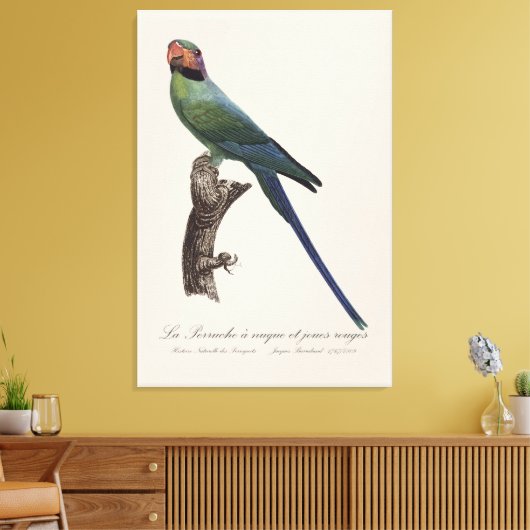 La Perruche a unque et joues rouges Canvas Afdruk (Insitu (Woonkamer))