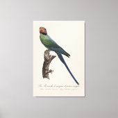 La Perruche a unque et joues rouges Canvas Afdruk (Voorkant)