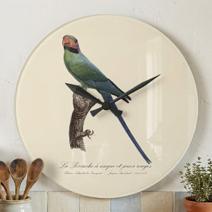 La Perruche a unque et joues rouges Grote Klok