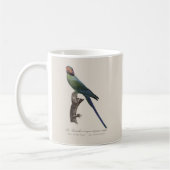 La Perruche a unque et joues rouges Koffiemok (Links)